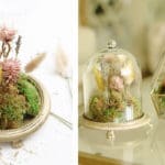 DIY Dried Floral Terrarium