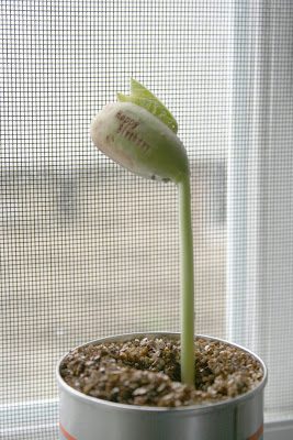 Message Bean