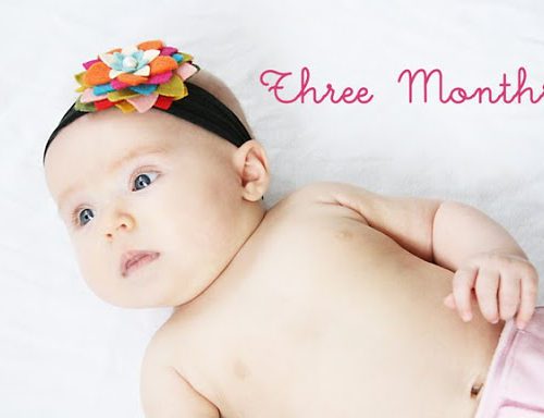 3 Months