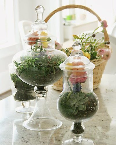 How to Create Floral Terrariums