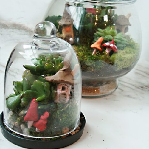 Irish Terrariums