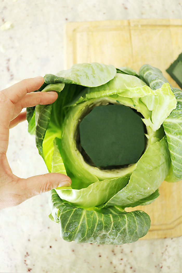 DIY: Tulip Cabbage Flower Arrangement for Easter - Darling Darleen | A Lifestyle Design Blog