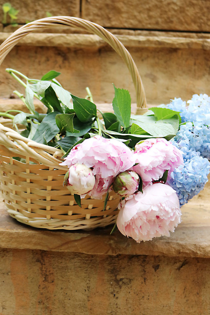 basket-of-peonies