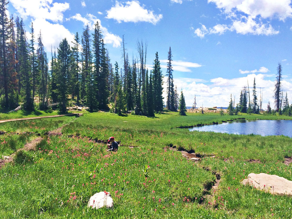 hikes-near-salt-lake-city