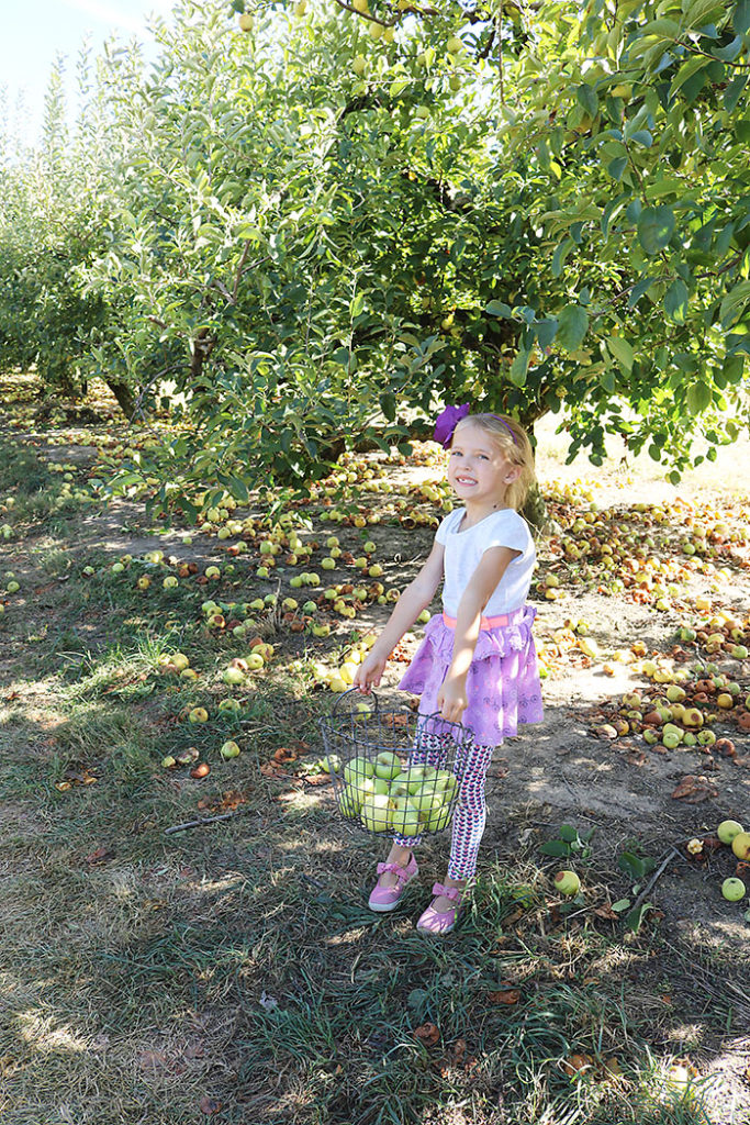fall-to-do-apple-picking
