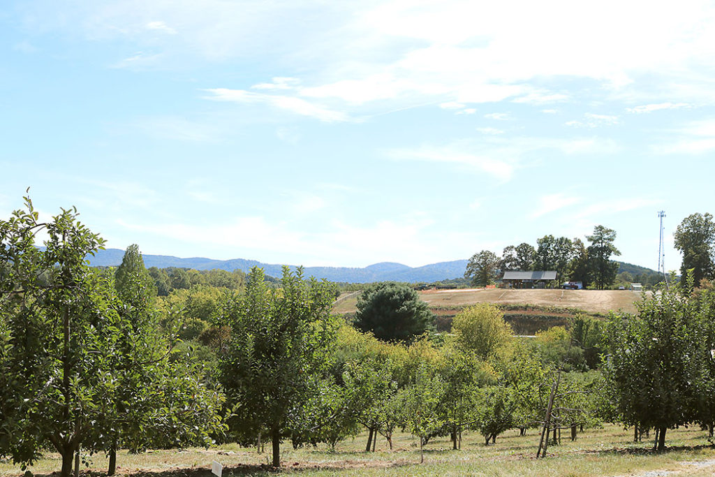 fall-to-do-list-farm