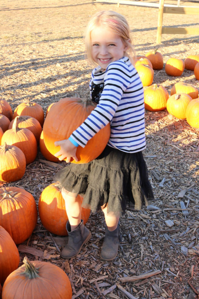 fall-to-do-list-pumpkin-patch
