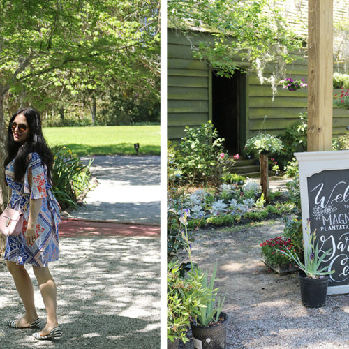 Magnolia Plantation and Garden