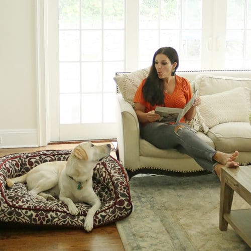 Stylish Pet Beds from La-Z-Boy