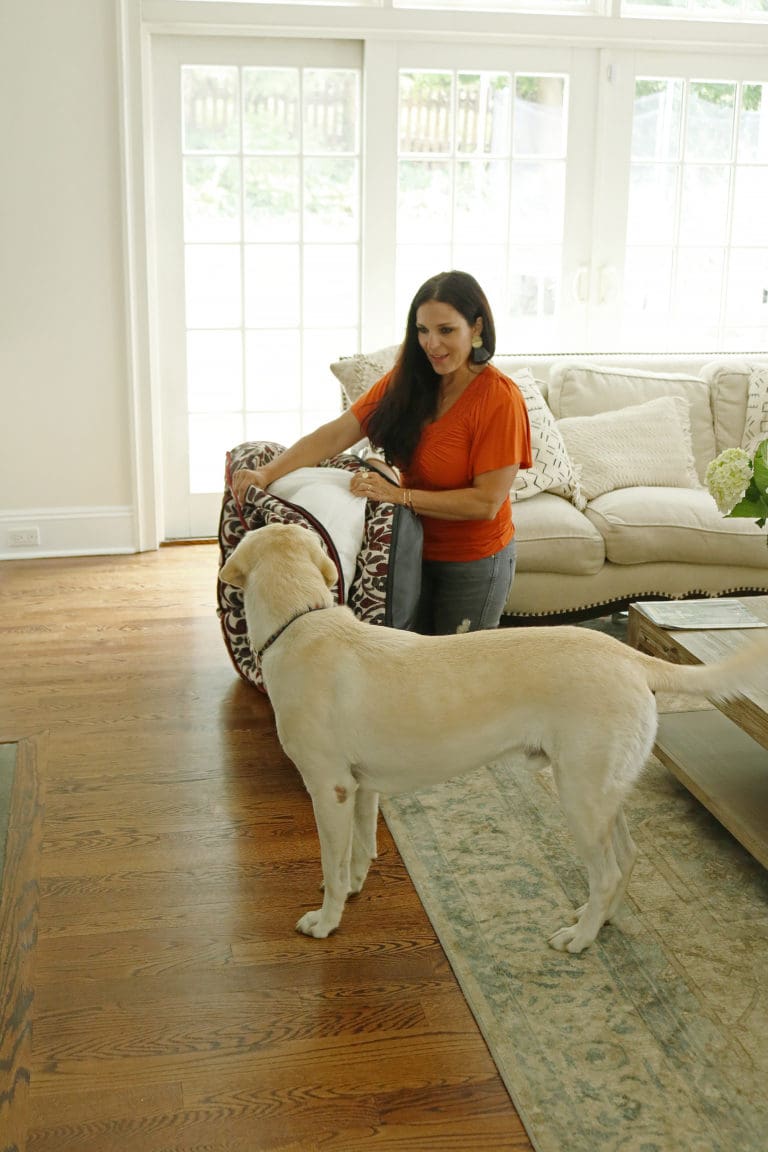 Stylish Pet Beds from LaZBoy Darling Darleen A Lifestyle Design Blog