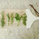 Preserving Fresh Herbs