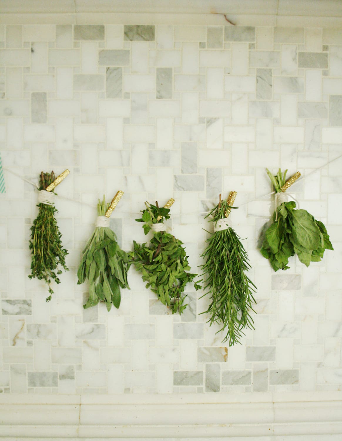 Preserving Fresh Herbs Darling Darleen A Lifestyle Design Blog