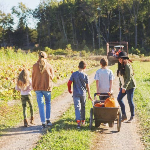 Pumpkin Patch with Older Kids
