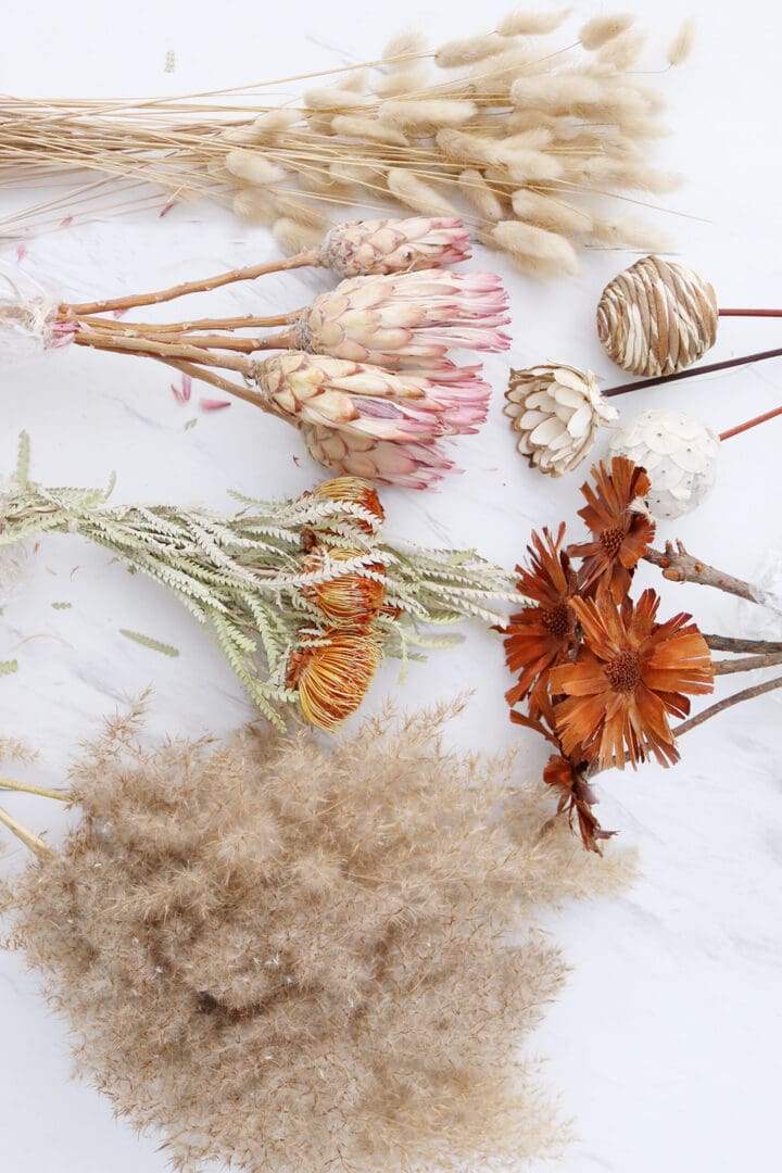 Where to find flowers for dried flower arrangements and the best flowers to choose. Pampas grass, bunny tail and protea flower arrangements || Darling Darleen Top Lifestyle Connecticut Blogger