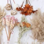 Dried Flower arrangements