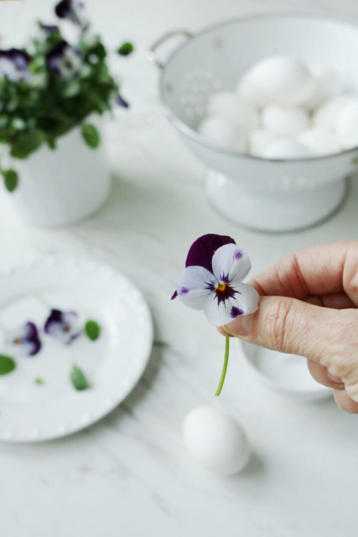 Decorate Your Easter Eggs this Year with Real Flowers and Foliage with this easy DIY flower Easter egg project || Darling Darleen