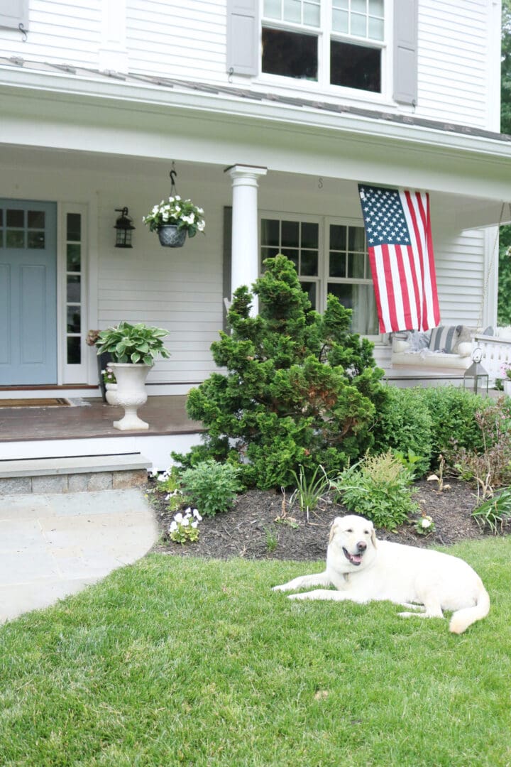 A beautiful home exterior can make or break curb appeal! Sharing 7 easy and simple curb appeal ideas || Darling Darleen Top CT Lifestyle Blogger home exterior | outdoor charm | curb appeal ideas | home exterior ideas | white house with gray shutters | porch swing | shutter | new england charm | blue front door | #darlingdarleen