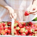 Strawberry Fields Forever