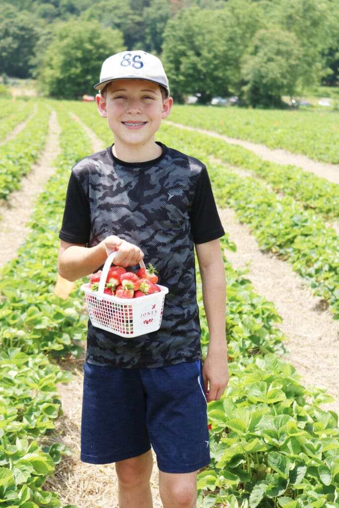 Strawberry picking, strawberry fields forever, jones family farms, connecticut strawberry picking, strawberry picking with children || Darling Darleen Top Lifestyle CT Blogger #strawberryfields
