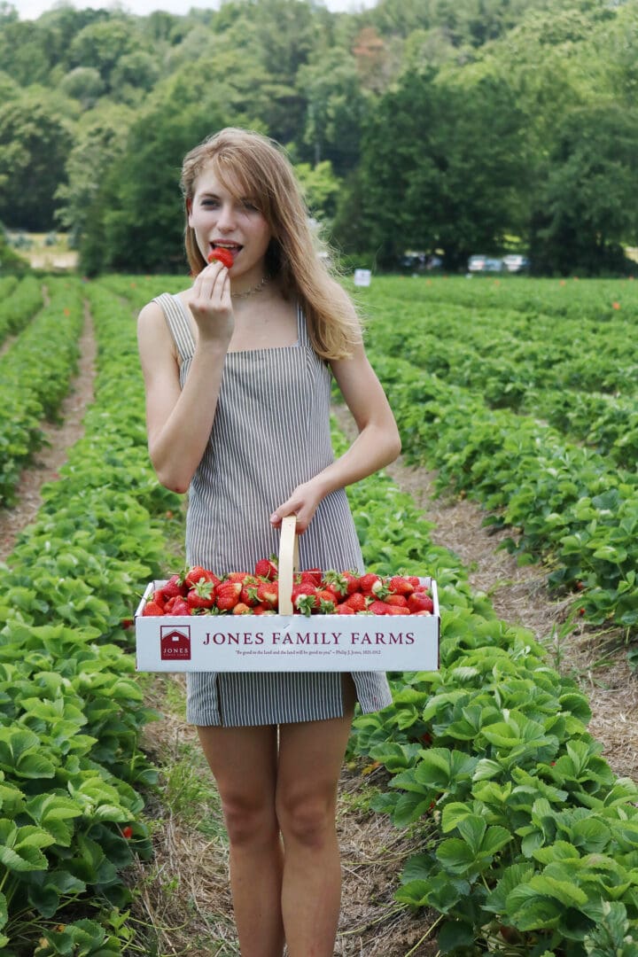 Strawberry picking, strawberry fields forever, jones family farms, connecticut strawberry picking, strawberry picking with children || Darling Darleen Top Lifestyle CT Blogger #strawberryfields