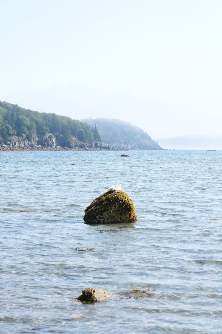 Hiking Bar Harbor Island Land Bridge.  || DarlingDarleen.com Top Lifestyle CT Blogger Darling Darleen #acadia #acadianationalpark