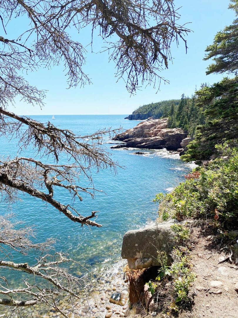 Hiking Acadia National Park with Kids and Dogs, What to do in Acadia National Park with Kids || DarlingDarleen.com Top Lifestyle CT Blogger Darling Darleen #acadia #acadianationalpark
