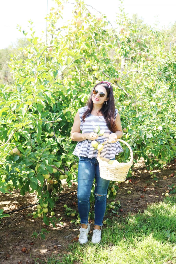 Apple Picking Season--What to wear and what apples to pick whether you are baking, cooking, canning or just eating. || DarlingDarleen.com Top CT Lifestyle Blogger