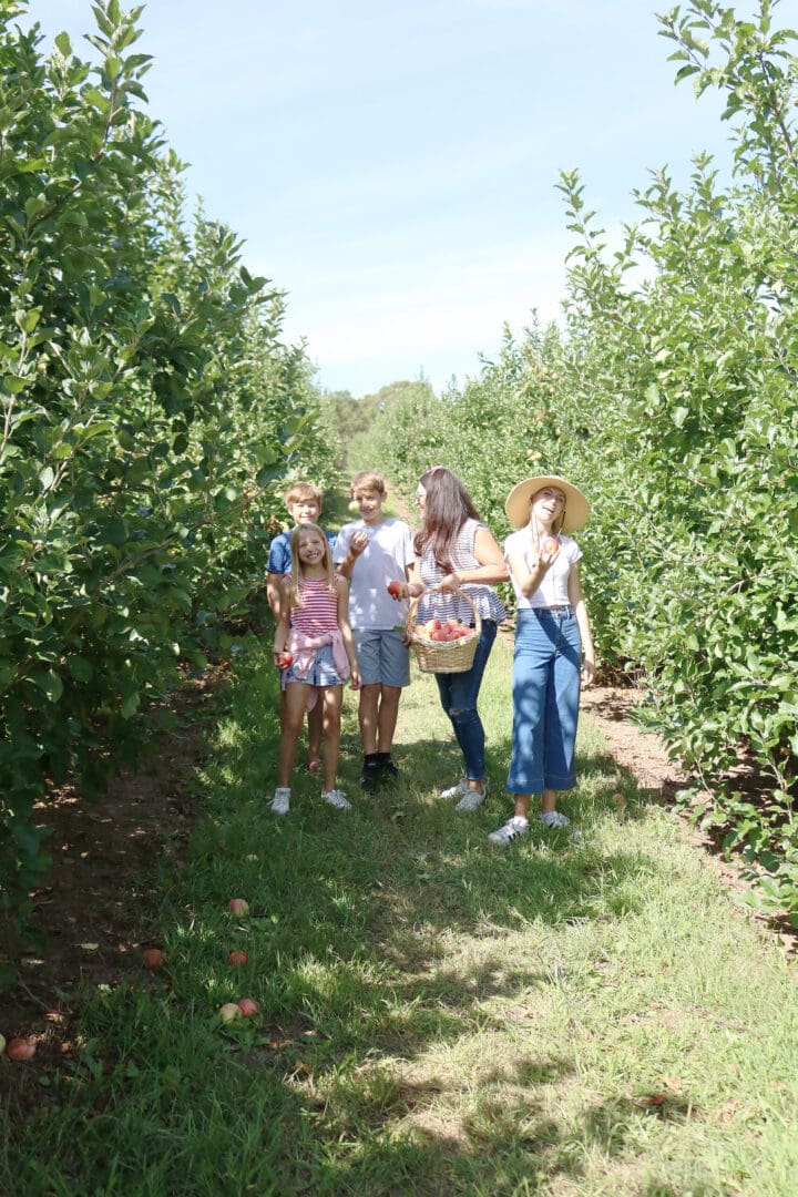 Apple Picking Season--What to wear and what apples to pick whether you are baking, cooking, canning or just eating. || DarlingDarleen.com Top CT Lifestyle Blogger