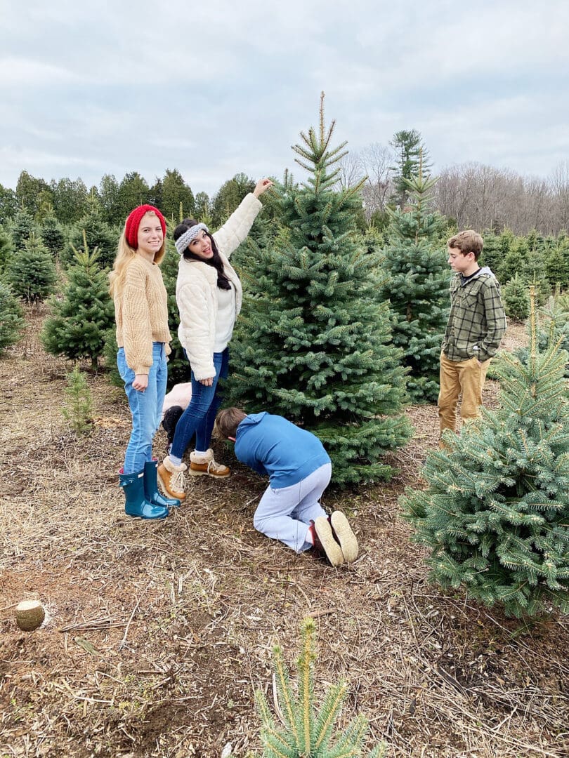 Christmas Tree Farm - Darling Darleen | A Lifestyle Design Blog