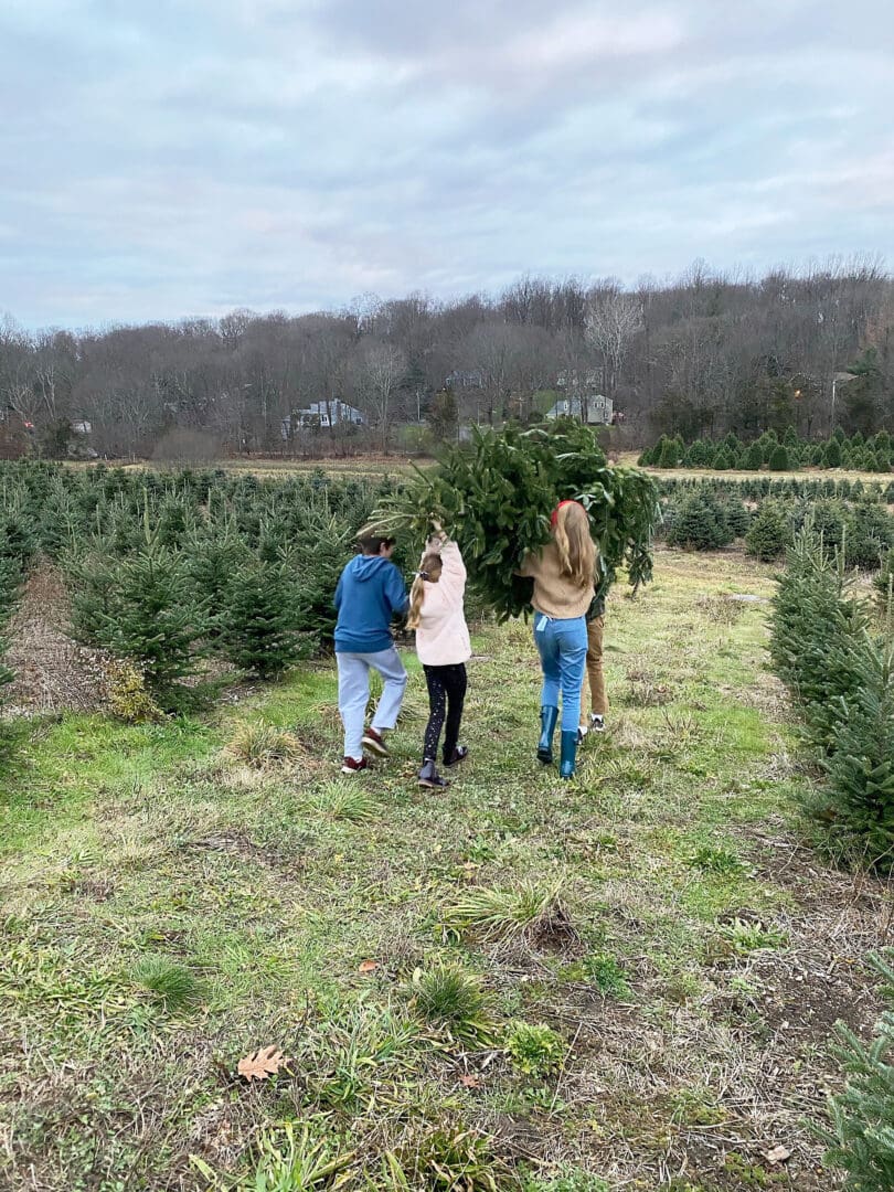 Our annual family tradition brings us to the Christmas Tree farm to find the perfect Christmas tree to cut down and bring home to decorate! Cutting down Christmas Tree.  Christmas tree cutting outfits || Darling Darleen Top Lifestyle Blogger 