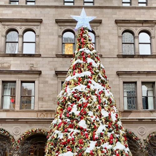 5 TIPS FOR MAKING A DIFFERENCE THIS HOLIDAY