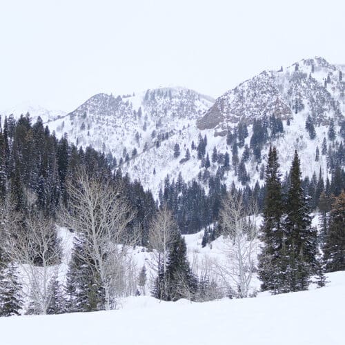 Utah Winter Travel Guide