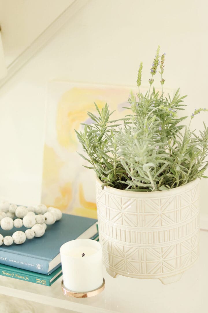 Lavender pot in entry way for spring styling, spring flower || Darling Darleen Top Lifestyle Blogger #lavenderplant #springflower