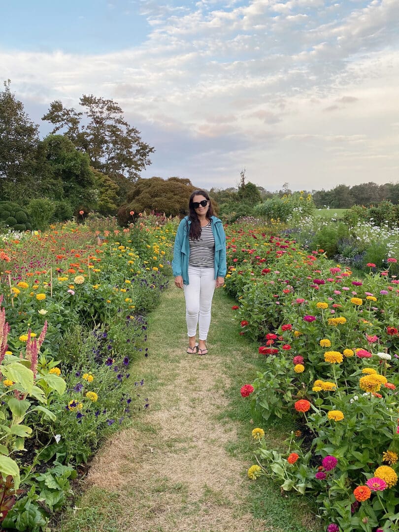 Best locations and instagrammable spots to visit Connecticut flower fields for both spring and summer season. || Darling Darleen Top CT Lifestyle Blogger #darlingdarleen #ctflowerfields