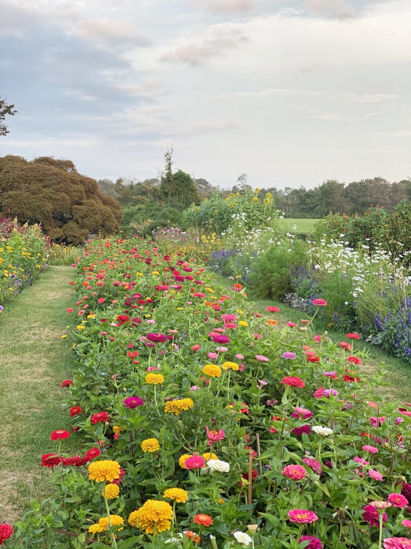 Best locations and instagrammable spots to visit Connecticut flower fields for both spring and summer season. || Darling Darleen Top CT Lifestyle Blogger #darlingdarleen #ctflowerfields