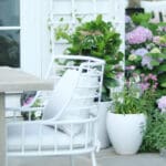 Last Minute Tips for Outdoor Living