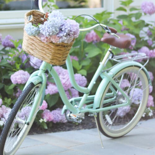 3 Favorite simple Summer Activities