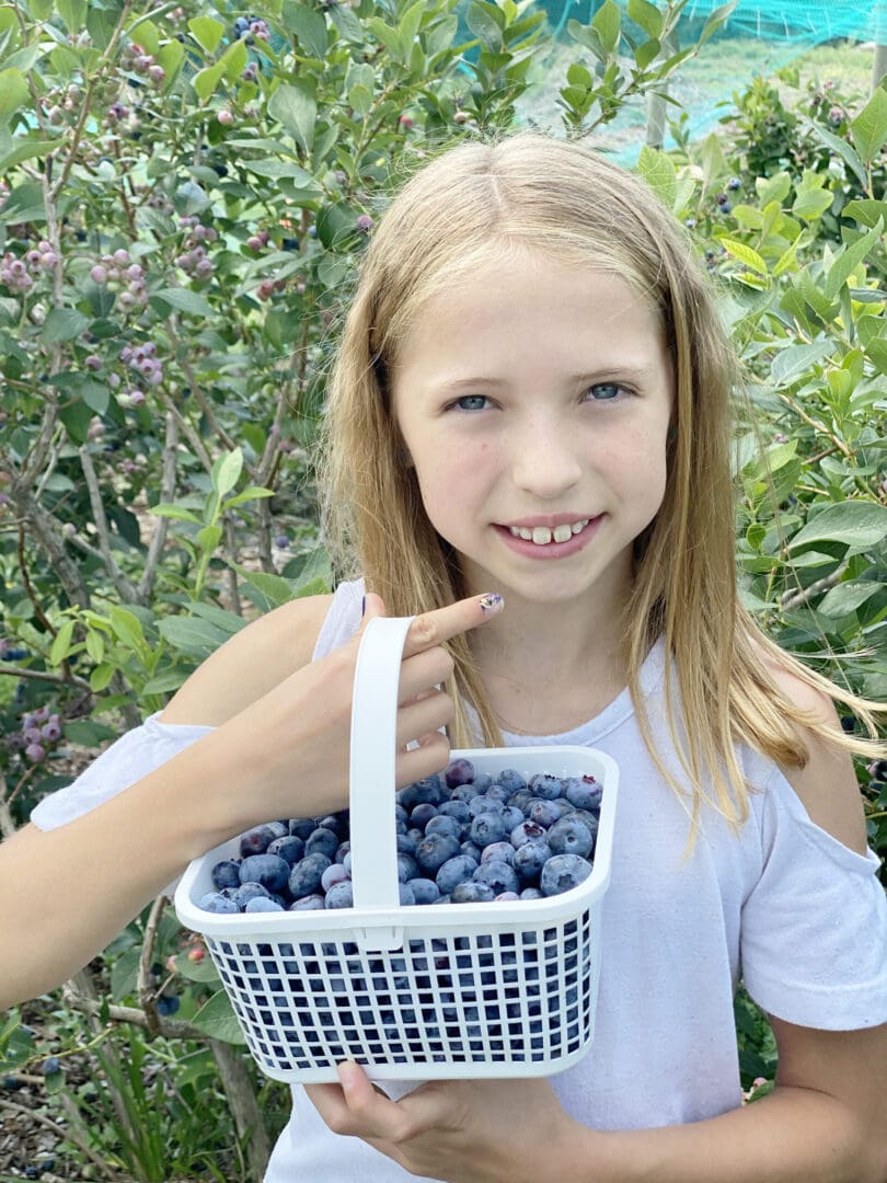 Blueberry Picking with Guiltless Blueberry Cobbler Recipe || Darling Darleen CT Top Lifestyle Blogger #blueberrypicking #blueberrycobbler