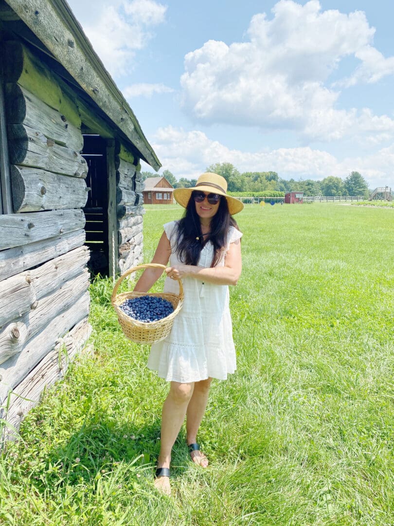 Blueberry Picking with Guiltless Blueberry Cobbler Recipe || Darling Darleen CT Top Lifestyle Blogger #blueberrypicking #blueberrycobbler