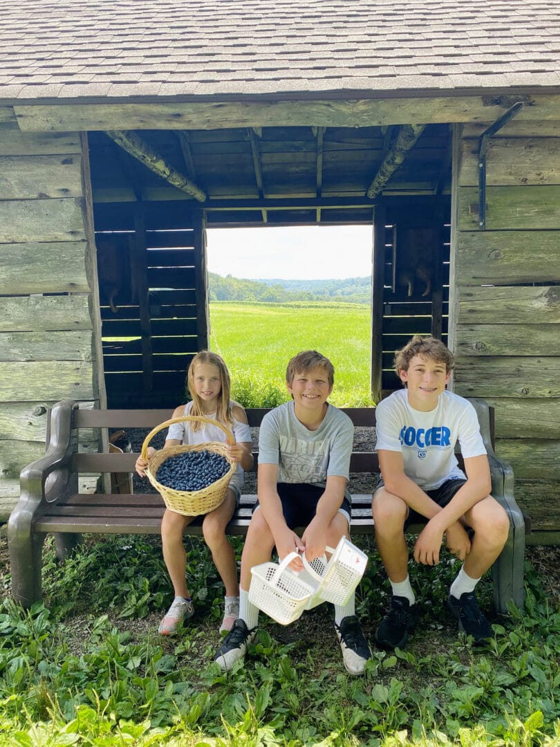 Blueberry Picking with Guiltless Blueberry Cobbler Recipe || Darling Darleen CT Top Lifestyle Blogger #blueberrypicking #blueberrycobbler