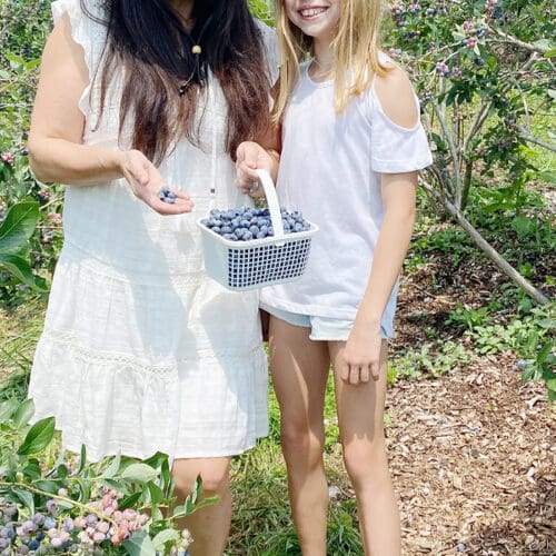 Blueberry Picking with Recipe