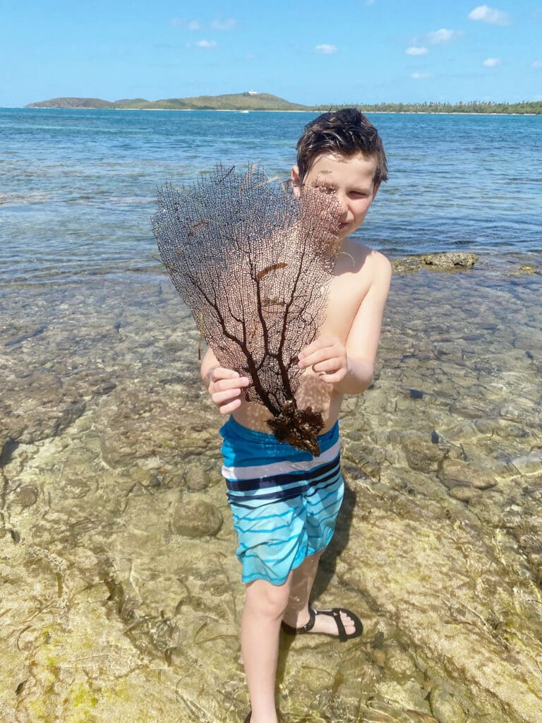 An Itinerary Traveling to Puerto Rico with Kids of where to stay and what to do for a full week! This is a perfect guide for traveling with older kids || Darling Darleen Top Lifestyle CT Blogger #puertorico #oldsanjuan #elyunquerainforest
