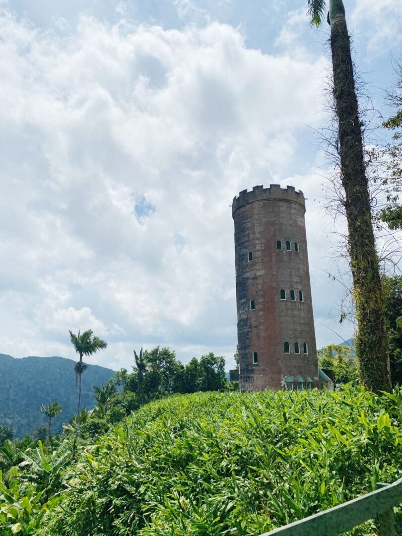 An Itinerary Traveling to Puerto Rico with Kids of where to stay and what to do for a full week! This is a perfect guide for traveling with older kids || Darling Darleen Top Lifestyle CT Blogger #puertorico #oldsanjuan #elyunquerainforest