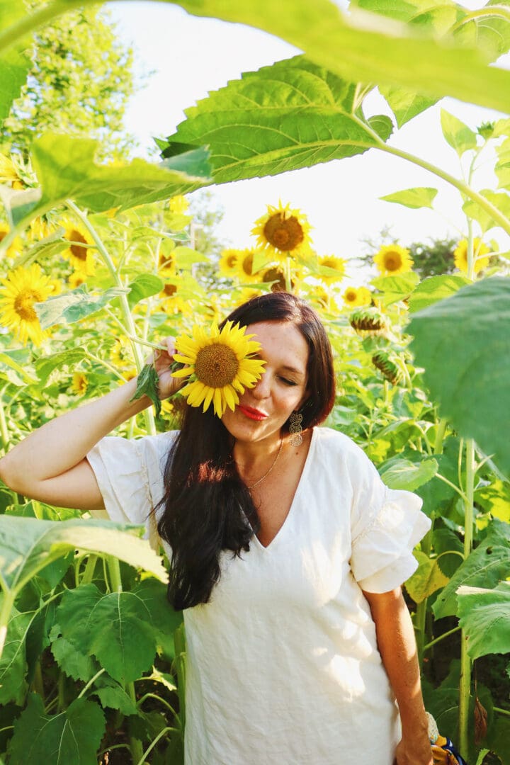 Connecticut Sunflower Fields and Fall favorite farms, sunflower field outfits, sunflower field photoshoot || Darling Darleen Top CT Lifestyle Blogger