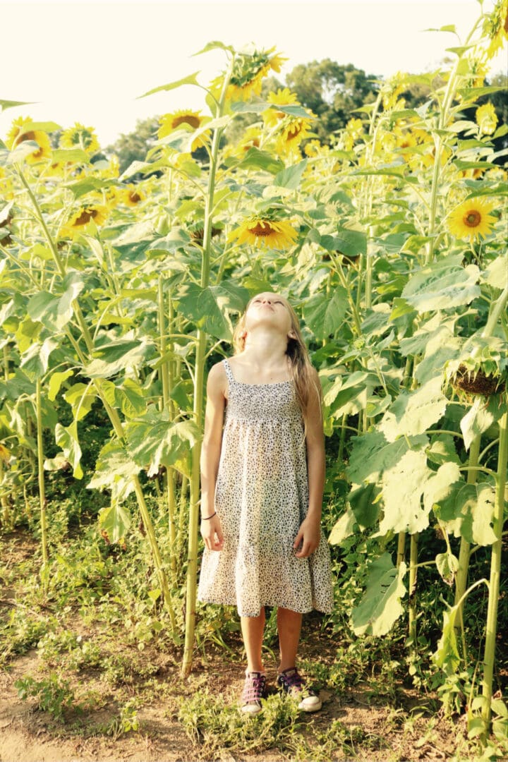 Connecticut Sunflower Fields and Fall favorite farms, sunflower field outfits, sunflower field photoshoot || Darling Darleen Top CT Lifestyle Blogger