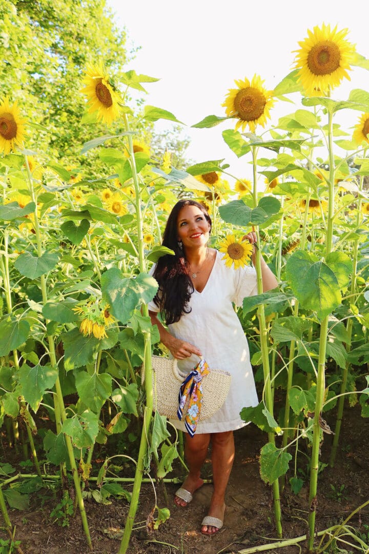 Connecticut Sunflower Fields and Fall favorite farms, sunflower field outfits, sunflower field photoshoot || Darling Darleen Top CT Lifestyle Blogger