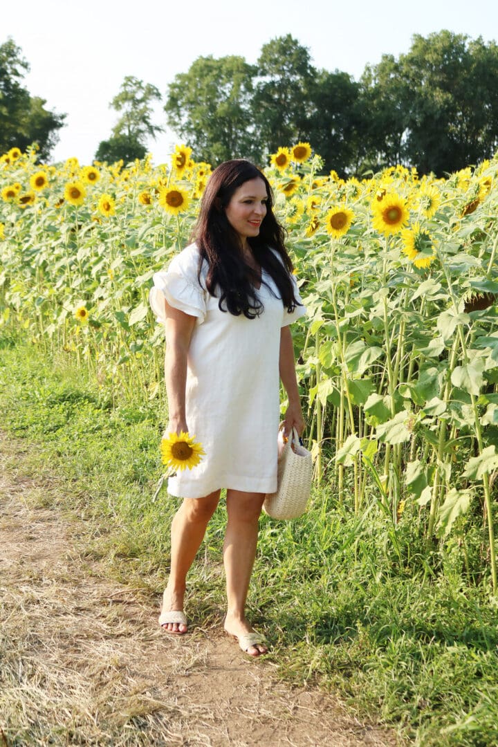 Connecticut Sunflower Fields and Fall favorite farms, sunflower field outfits, sunflower field photoshoot || Darling Darleen Top CT Lifestyle Blogger