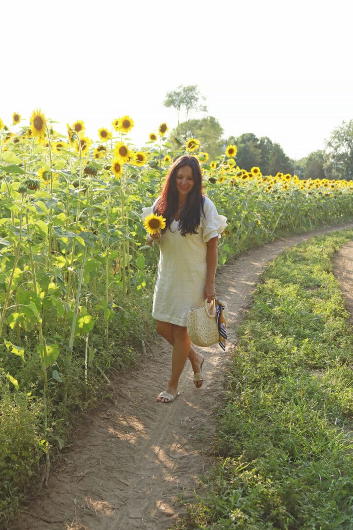 Connecticut Sunflower Fields and Fall favorite farms, sunflower field outfits, sunflower field photoshoot || Darling Darleen Top CT Lifestyle Blogger