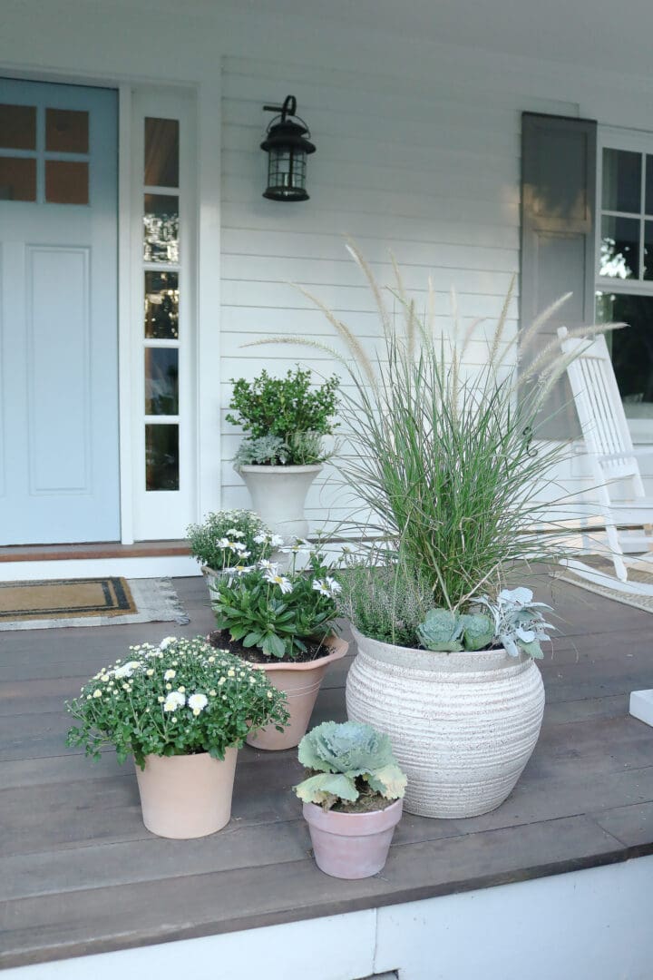 Quick and Easy 10- Minute DIY White Washed Terra Cotta Pots for your fall porch decor || Darling Darleen Top Lifestyle Blogger