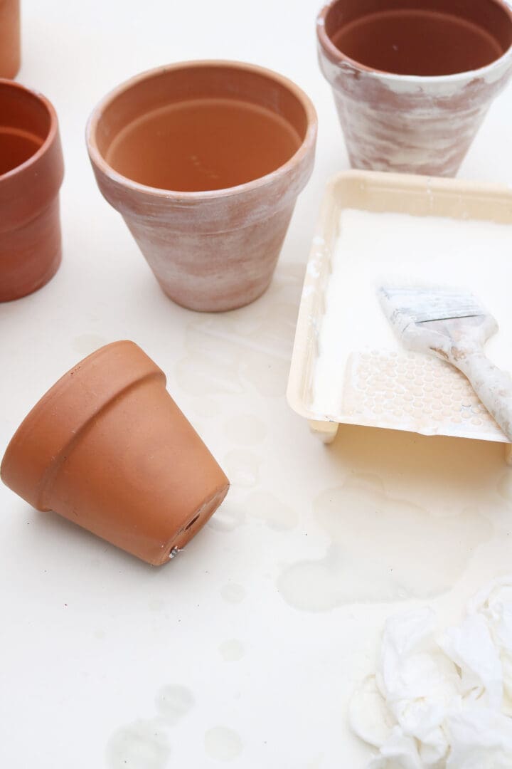 White Washed Terra Cotta Pots - Darling Darleen